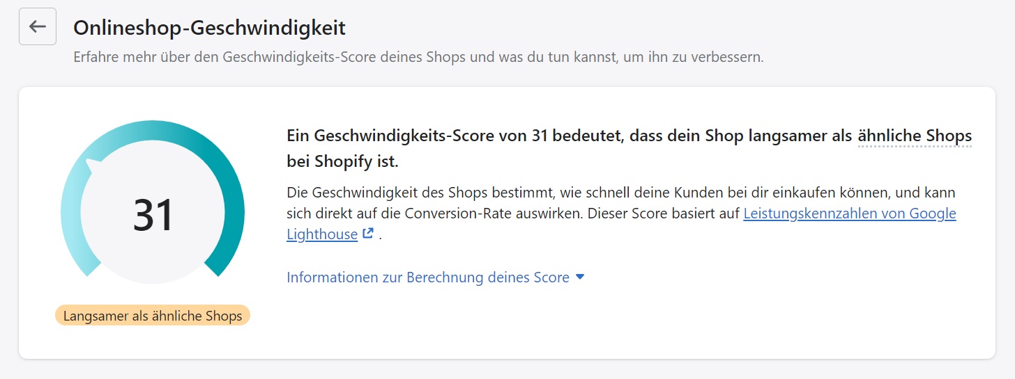 Unserer Beispielshop ist mit einem Speedscore von 31 Punkten vergleichsweise langsam. 100 Punkte wären hier das Maximum.